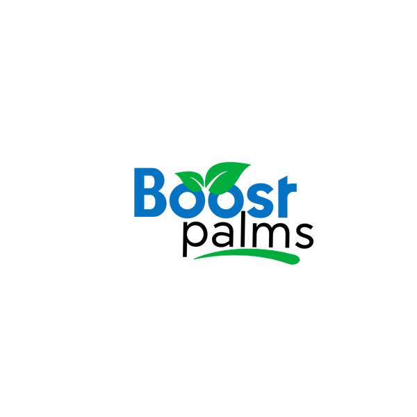 boost palm